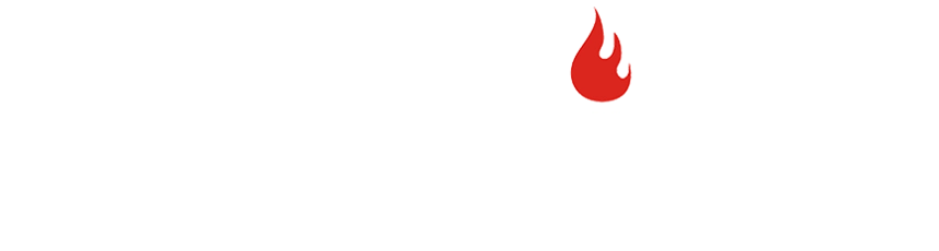 Towild footer logo