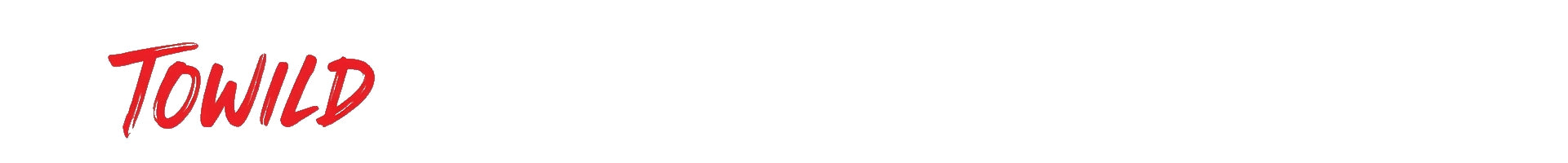 The official red logo for TOWILD. Contact our support team for any questions about our bike lights or the Black Friday sale.